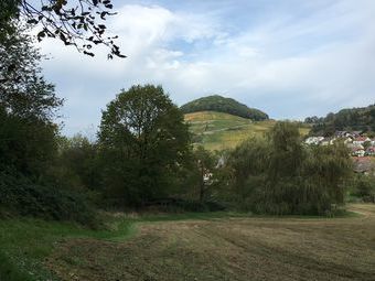 Der Kastellberg von Sulzburg aus gesehen
