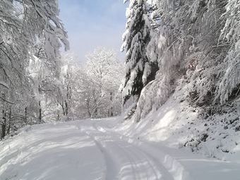 Durch 40cm Neuschnee auf dem Fahrweg Richtung Jockeleshäusle