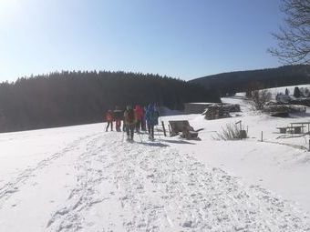 Der Trail am Ortsrand von Hofsgrund
