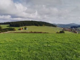 Zum Schluss hatten wir doch noch ganz gutes Wetter, hier der Blick nach Breitnau. Wir danken Marina und Dargleff für die interessante Wanderung.
