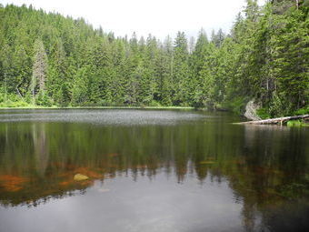 Der Wildsee im Zentrum des Nationalparks
