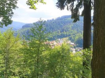 Günterstal ist Freiburgs südlichster Stadtteil. Er verzeichnet mehrere Rekorde: Hier befindet sich die südlichste Straßenbahnhaltestelle Deutschlands, der höchste Baum Deutschlands, eine 110 Jahre alte Douglasie und die längste Gondelbahn Deutschlands.