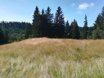 Interessante Ausblicke bietet die Natur auf unserer Wanderroute.