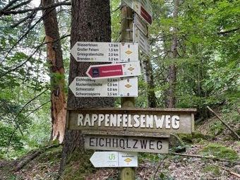 Unser heutiges Ziel: Der Rappenfelsensteig - einer der Hochschwarzwälder Genießerpfade. Ob der Name von den Raben herrührt?