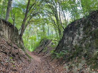 Durch diese hohle Gasse muss er kommen.