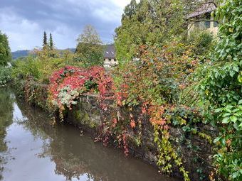 Der Riedbach in Diersburg