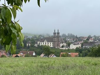 Klosterkirche St. Peter