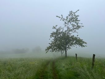 Auch eine Nebelstimmung hat ihre Reize