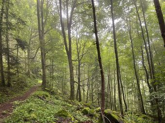 Der Weg ist das Ziel.