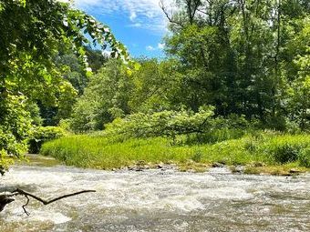 Leicht erhöhter Wasserstand an der Wutach.