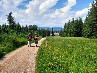 Vor uns auf dem angenehmen Wanderweg die Stübenwasenhütte.