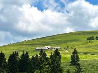 Weiter ging`s bei sehr angenehmen Temperaturen Richtung Todtnauberg. Im Hintergrund die St. Wilhlmer Hütte mit Feldberg.