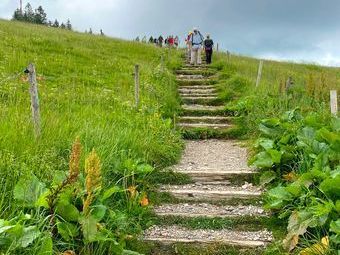 Der Abstieg zur St. Wilhelmer Hütte. (übrigens das Titelbild des diesjährigen Wanderplans)