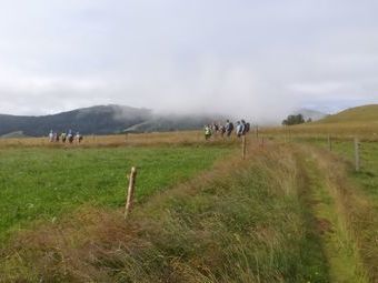 oftmals auf schmalen schönen Sommerwiesenwegen.