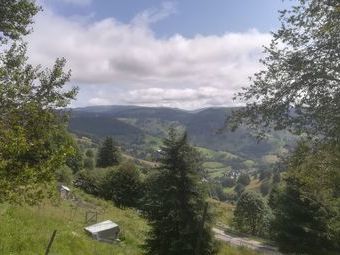 Steiler Aufstieg zum Belchen.