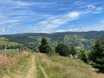 Auf der Rückseite des Belchen gings wieder abwärts Richtung Wiedener Eck.