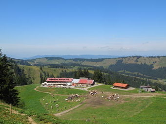 Dann war die erste Etappe in Sicht und die Stimmung wurde noch besser. 