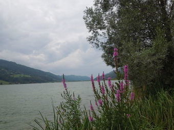 Leider zogen schon wieder dunkle Wolken auf.