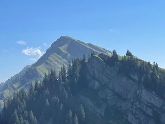 Ein letzter Blick auf den Hochgrat.