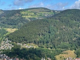 Aussicht auf Todtnau und Todtnauberg