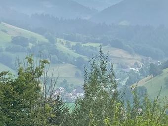 Es lichtete sich etwas, zog aber bald wieder zu. Blick ins Hintereschbach.