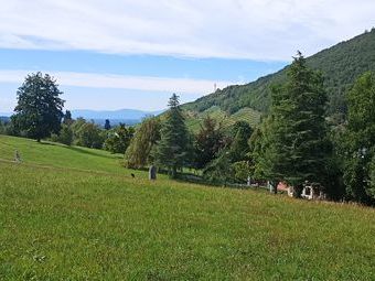 Der Park der Sinne befindet sich mitten in Badenweiler und doch inmitten der Natur