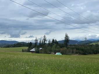 Blick in Richtung Triberg.