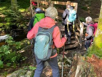 Auf Holzbohlen balancierten wir über moorigen Untergrund und Brückle brachten uns zu Beginn unserer Wanderung über die Elz