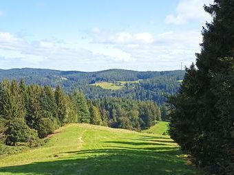 Belohnt wurde der Aufstieg am Wegweiserstandort Skilifthang mit einem weiten Ausblick Richtung Nordschwarzwald 