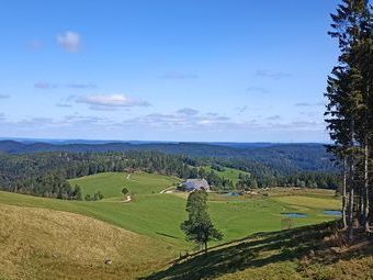 Dazu hatten wir einen tollen Blick auf den Schänzlehof, den höchst gelegenen Bauernhof des mittleren Schwarzwalds