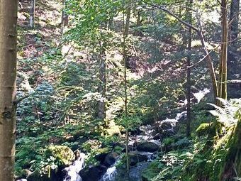 Entlang der Elz-Wasserfälle führte ein letzter Anstieg hinauf zum Ausgangspunkt der Tour