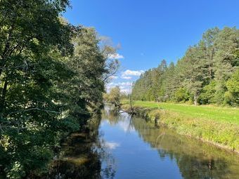 Der längste Zufluss der Donau, die Breg (entspringt unweit der Martinskapelle auf der Gemarkung Furtwangen)