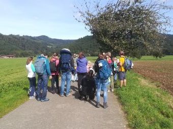 Die Kinder sollten Blätter und die dazugehörigen Früchte sammeln.