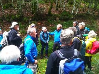 Mit 33 Personen wieder eine beeindruckende Zahl an Wandernden.