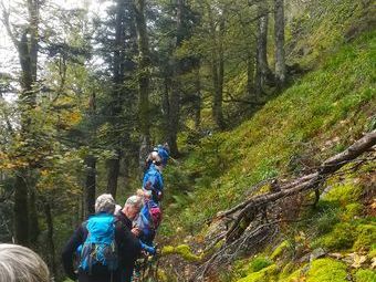 Ein ständiges Hoch und Runter durch wilde Landschaftskulturen.