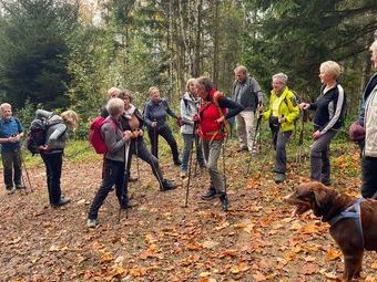 Unterwegs zum Frauensteigfelsen