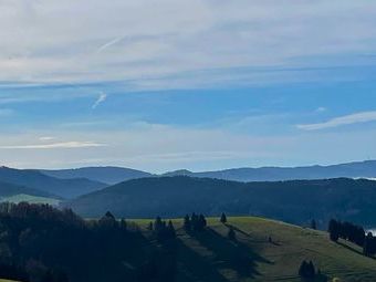 Die ganze Strecke über gab es tolle Aussichten, hier zum Blauen und Belchen. 