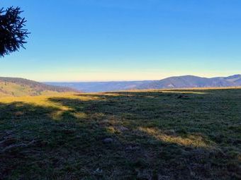 Blick Richtung Dreisamtal und zum Kandel.