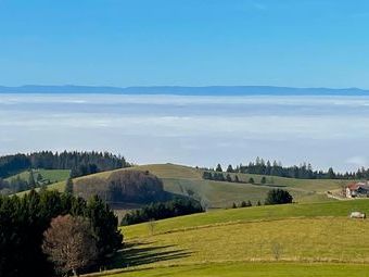 Blick zu den Vogesen und Gieshübel.