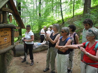 Das Ziel ist erreicht: Die Douglasie Waldtraut