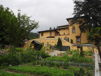 Der Kräutergarten mit dem Kloster St. Lioba