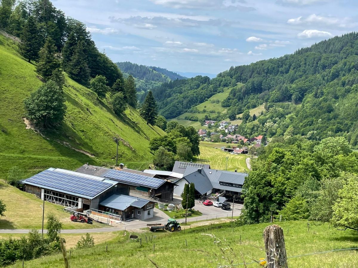 Blick auf den Glocknerhof