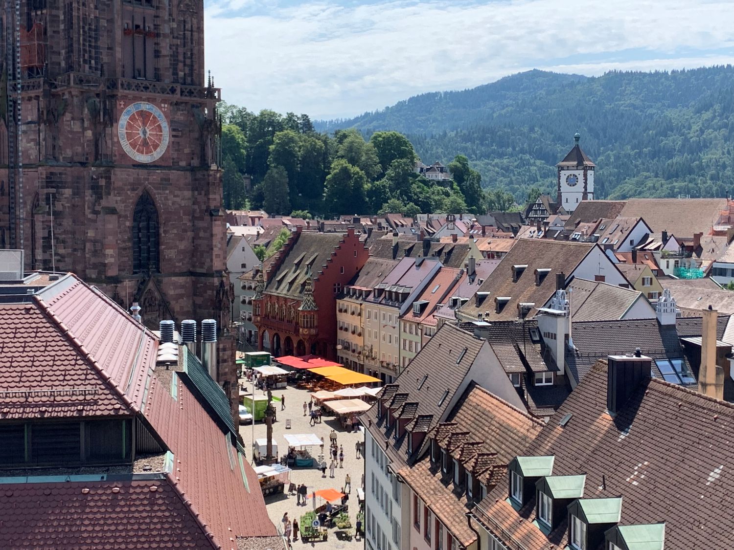 Blick vom Skajo auf den Münstermarkt